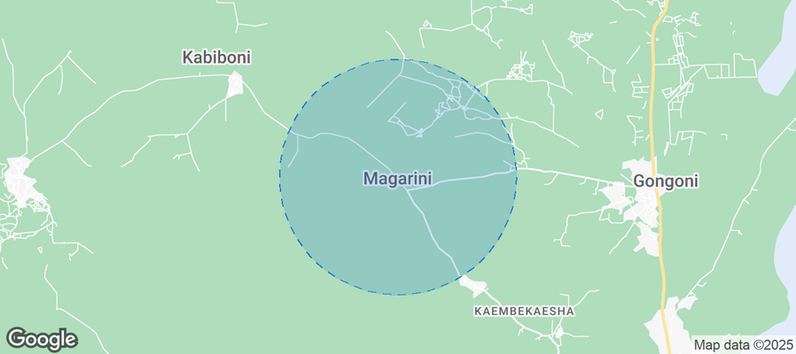 Discover Magarini ward Airbnb Analytics